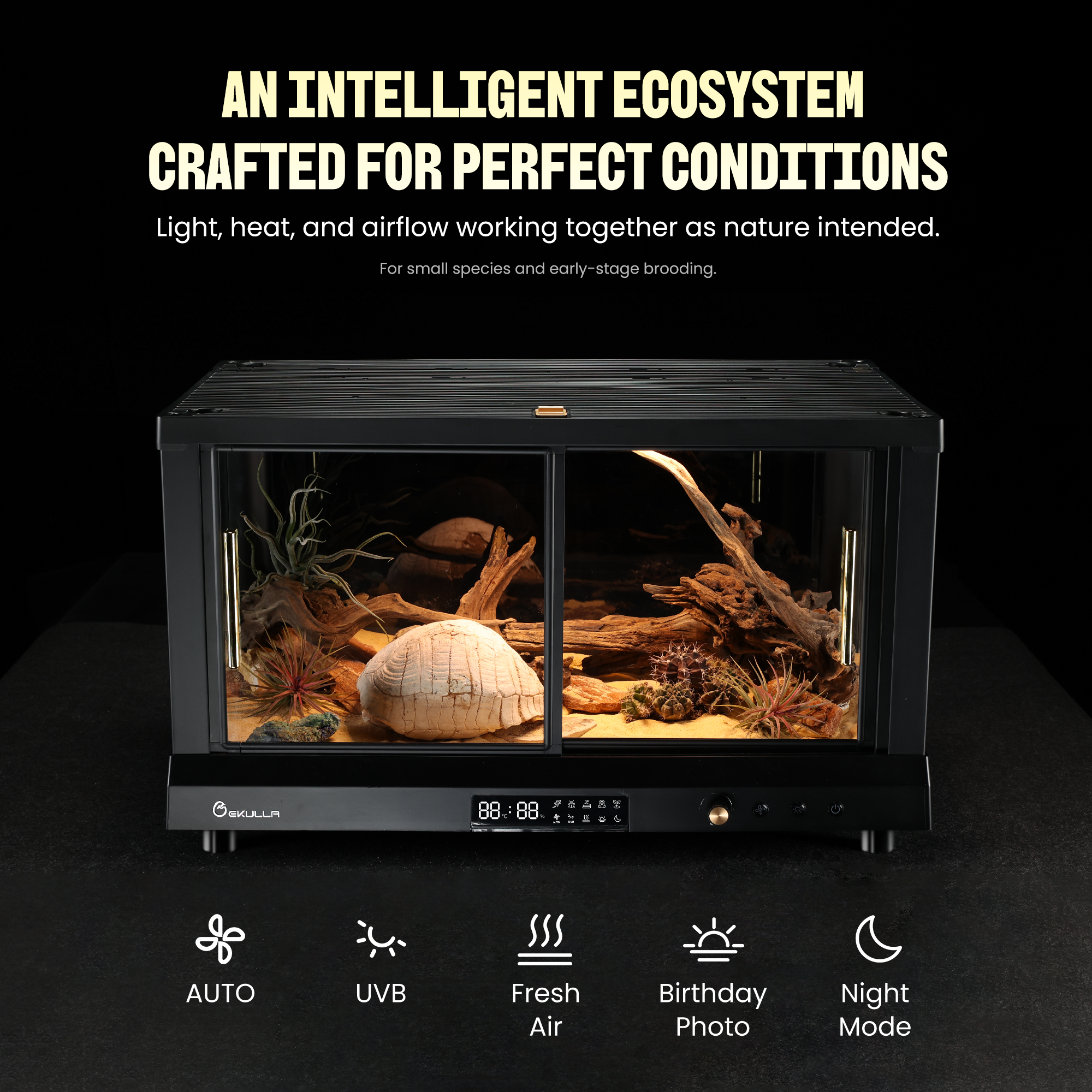 EKULLA オムニタンク | 多機能一体型飼育ケース：City Petシリーズ