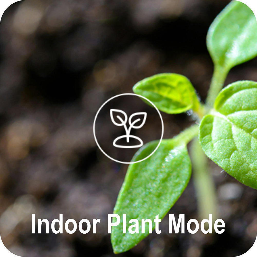 Indoor Plant Mode