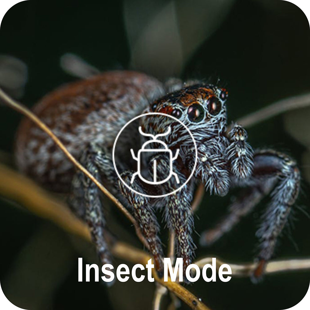 Insect Mode