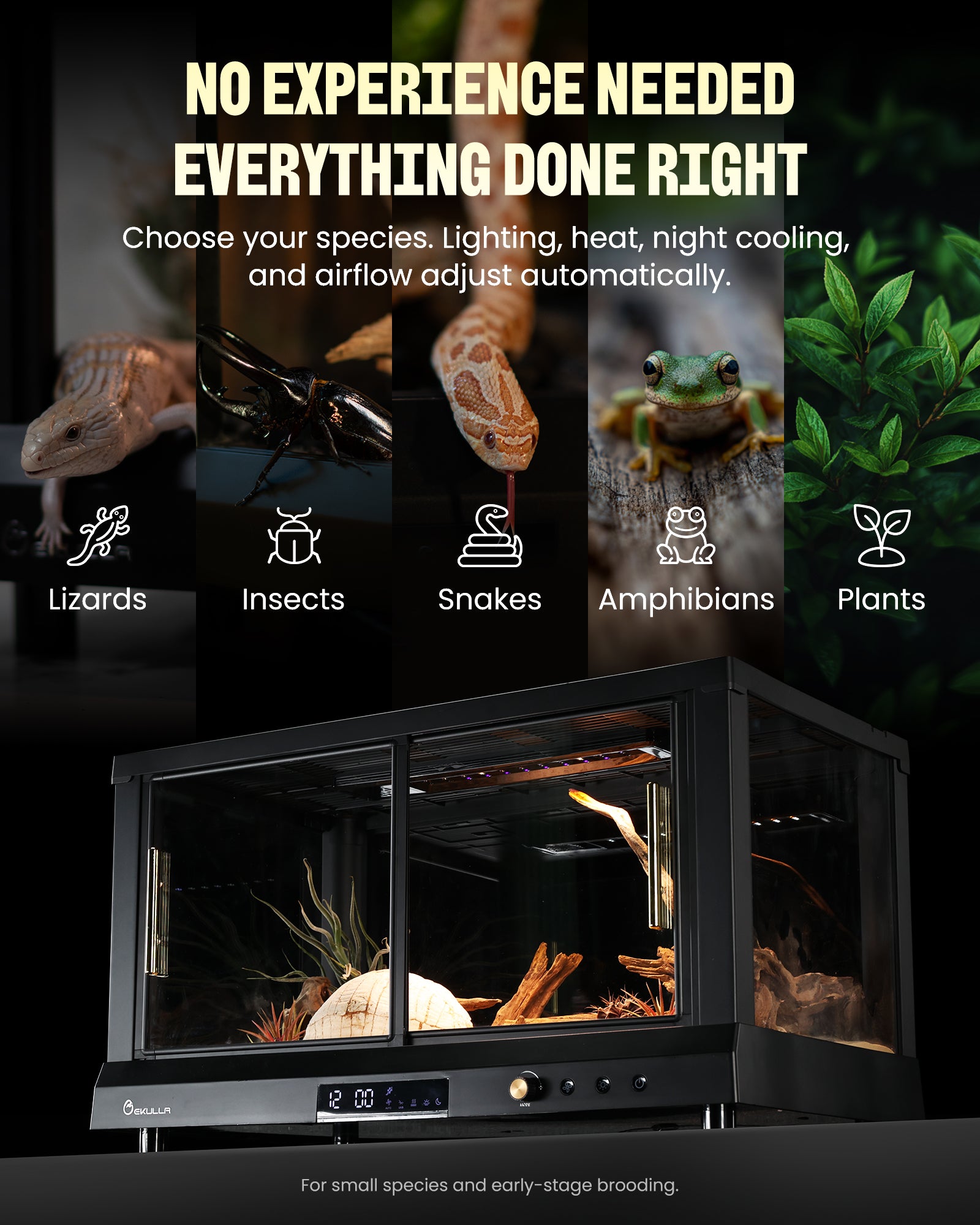 EKULLA Omni Tank | All-in-One Enclosure: City Pet 1