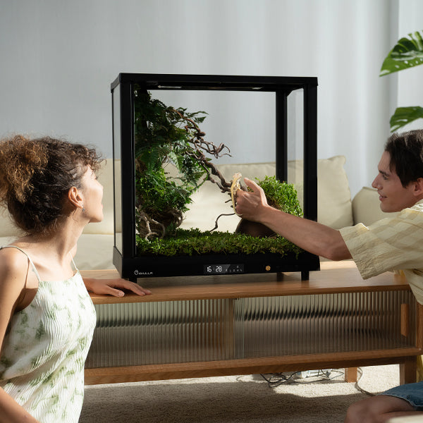 EKULLA Reptile Enclosures Tank CityPet1-Max effect
