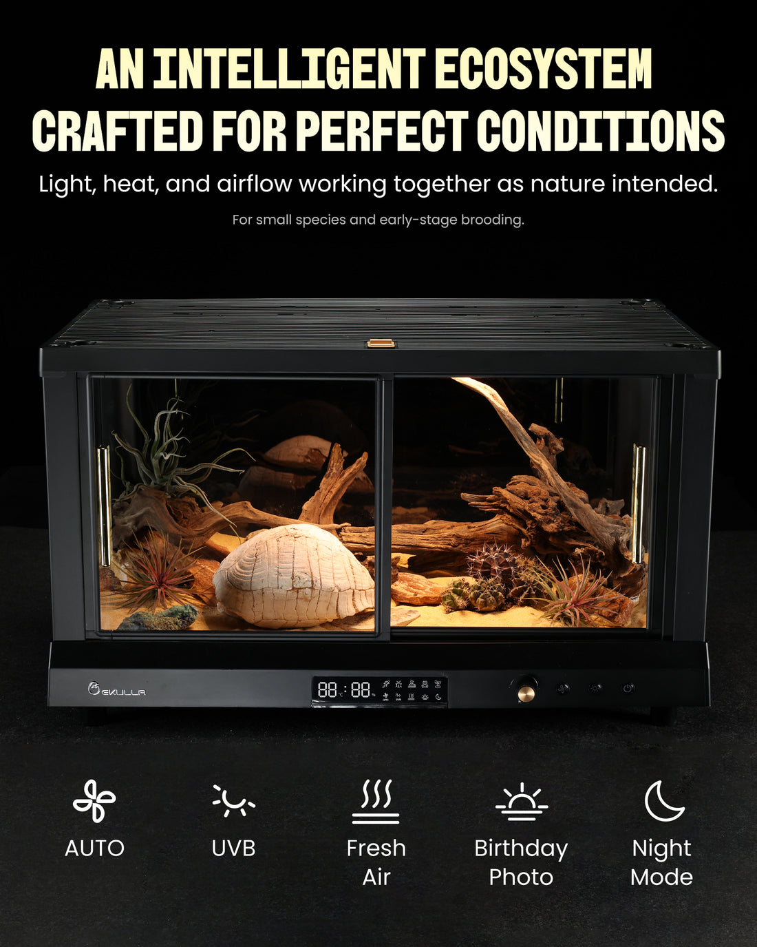 EKULLA Omni Tank | All-in-One Enclosure : Marble Finish - City Pet 1