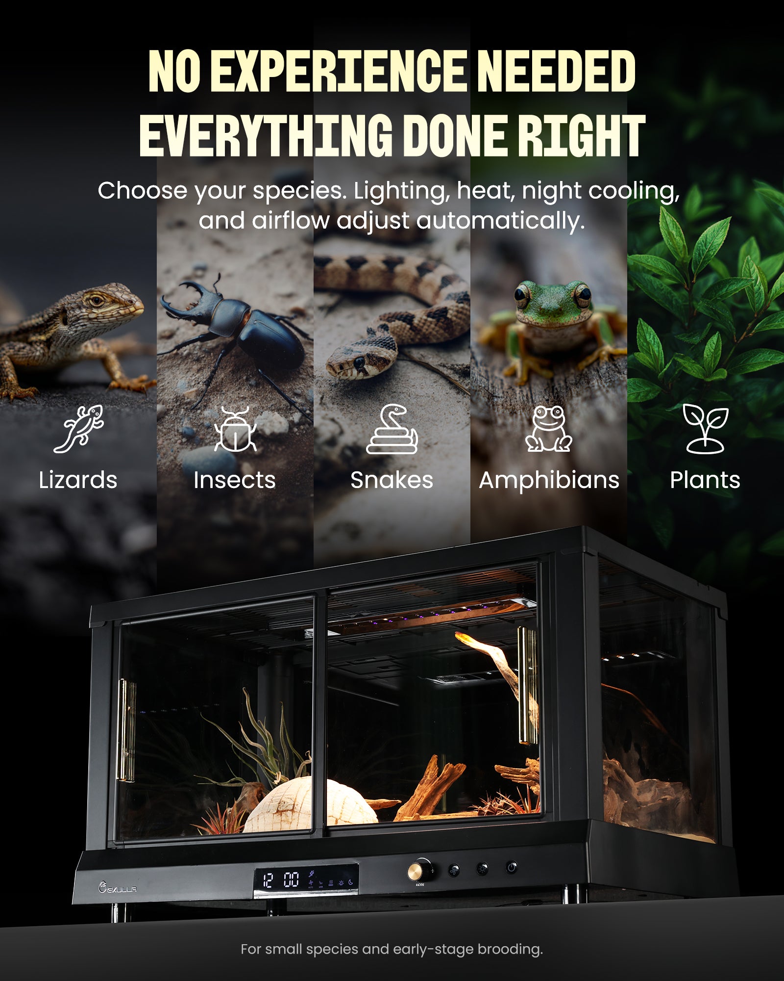 Ekulla Omni Tank | All-in-One Enclosure: City Pet - Series（PLUS）