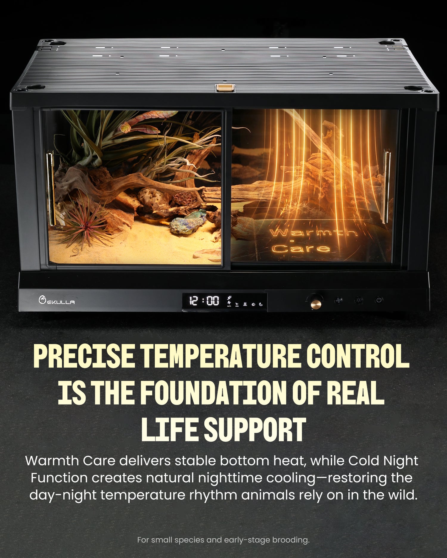 EKULLA Omni Tank | All-in-One Enclosure: City Pet 1