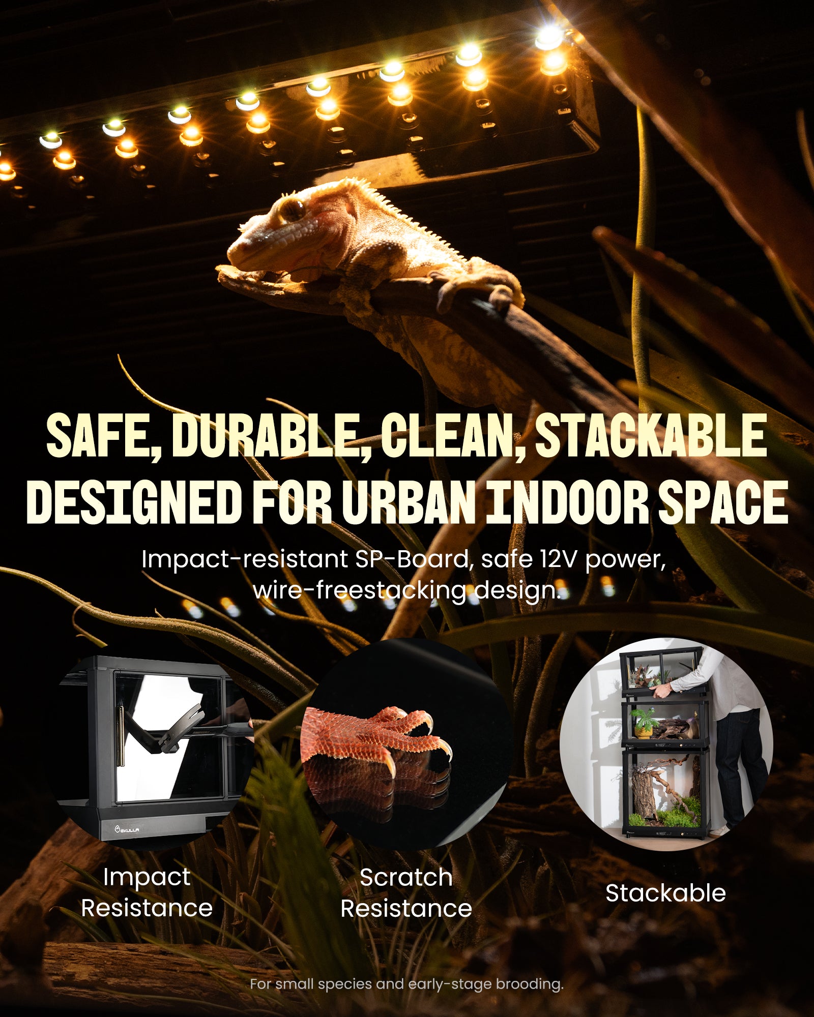 EKULLA Omni Tank | All-in-One Enclosure: City Pet 1